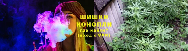 трава Надым