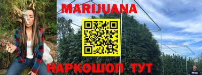 крисы Будённовск