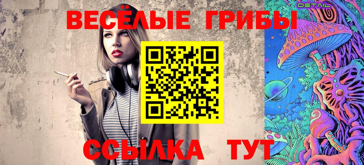 Галлюциногенные грибы мухоморы  Галлюциногенные грибы прущие грибы  Вход с VPN  как найти   Елабуга 