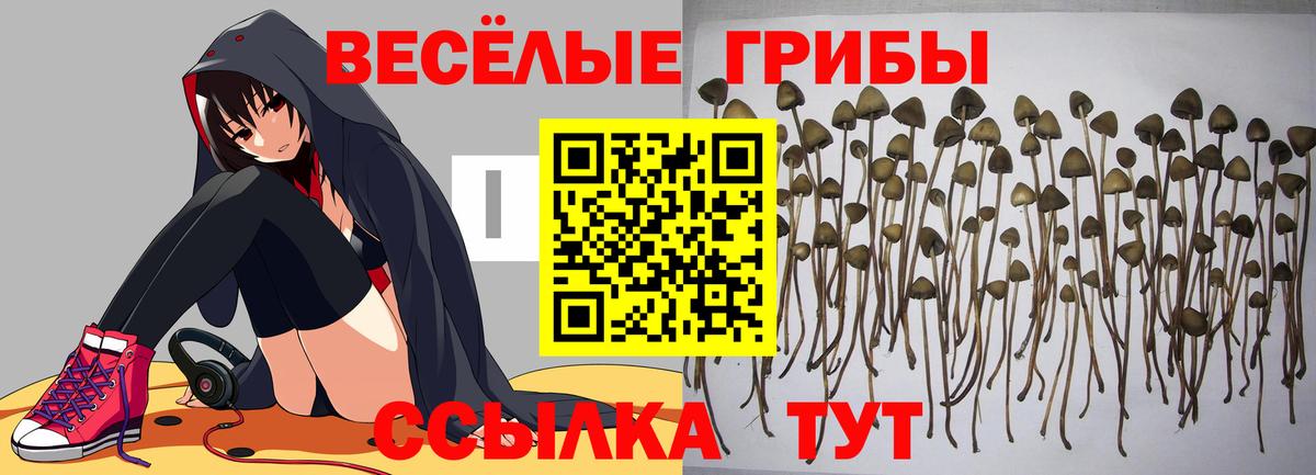 Псилоцибиновые грибы Magic Shrooms Елабуга