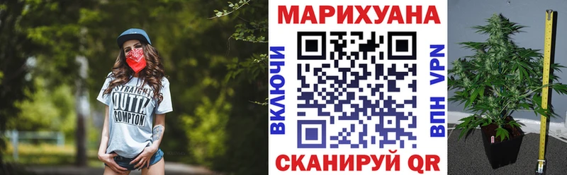 ссылка на мегу ТОР Елабуга Канабис SATIVA & INDICA